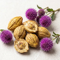 Walnuts with purple flowers on a light background. Fluxa Lipid Flow.